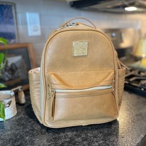 Itzy Ritzy diaper bag